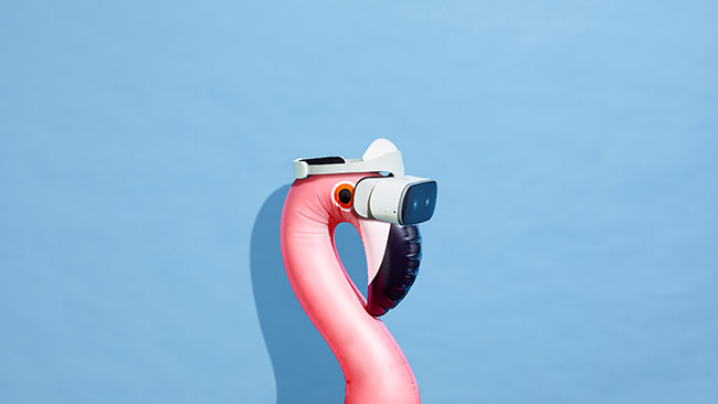 Blue background with a blow up flamingo wearing a virtual reality headset